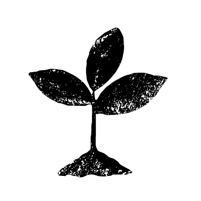Mood illustration